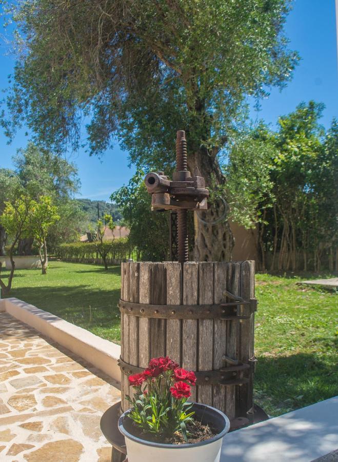 Corfu Palmar Hotel Sidari  Luaran gambar